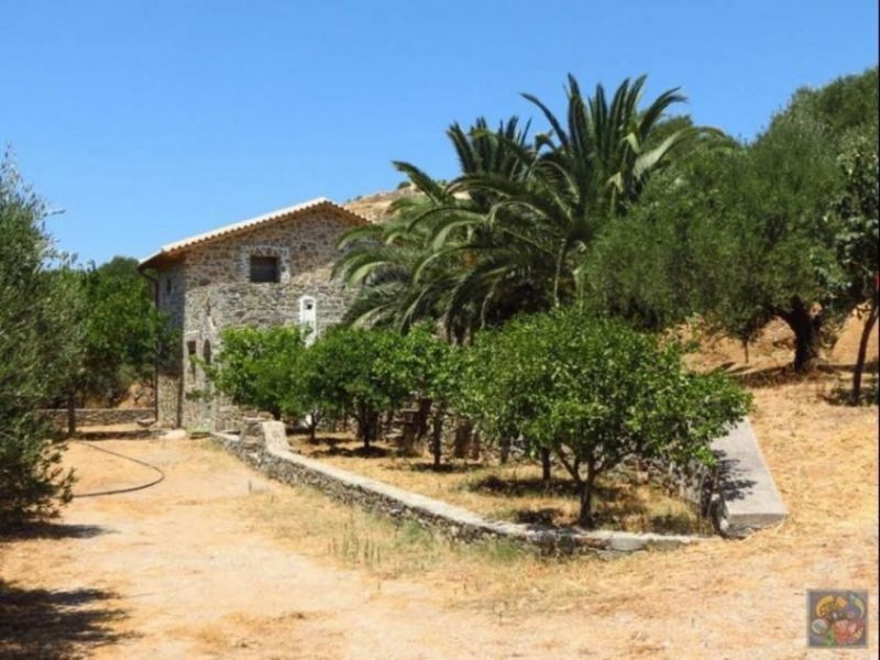 Kato Episkopi - Sitia Kreta, Kato Episkopi, freistehendes unfertiges Steinhaus zu verkaufen in Sitia. Haus kaufen